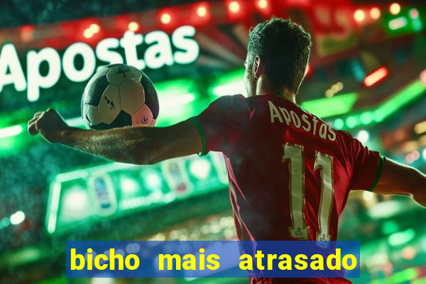 bicho mais atrasado na bahia